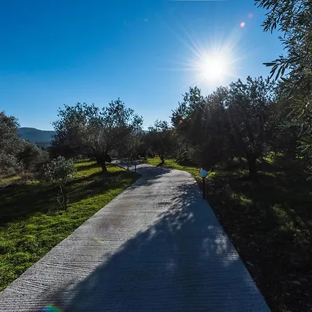 Evgenias Olive House كالاثوس